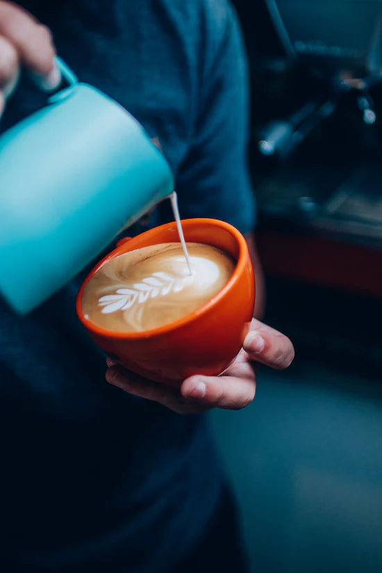 NAVEIA BARISTA 1L